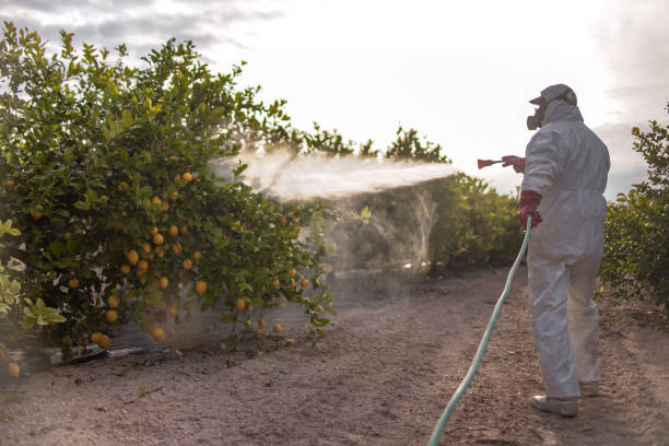 Best Ant Control Services  in Burlington, ND