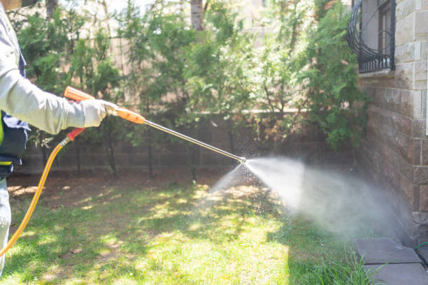 Bird Control in Burlington, ND