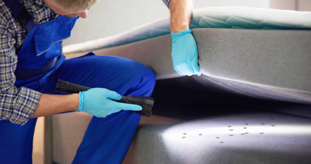 Best Flea Control Services  in Burlington, ND